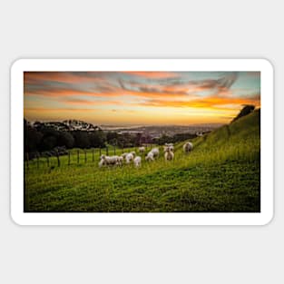 Sheep on One Tree Hill Sticker